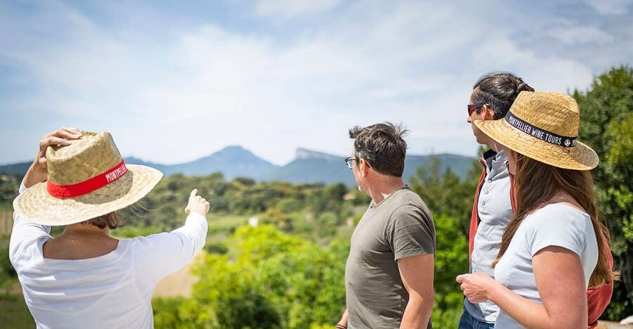 From Montpellier: Half-Day Vineyard & Pic Saint-Loup Tour - Is $93 good value for four hours?