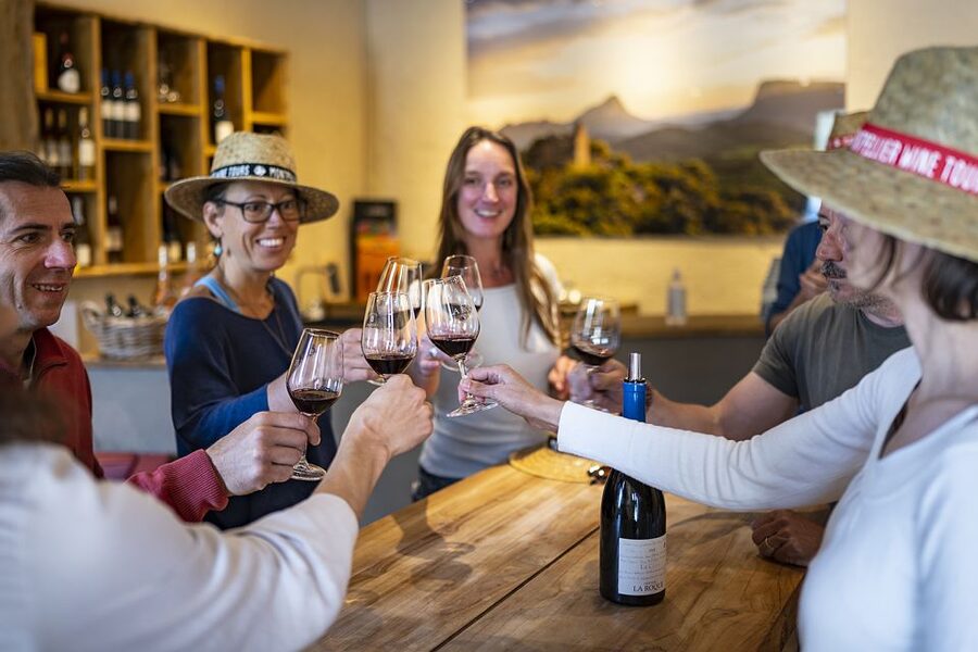 From Montpellier: Half-Day Vineyard & Pic Saint-Loup Tour - Who will enjoy this half-day outing?