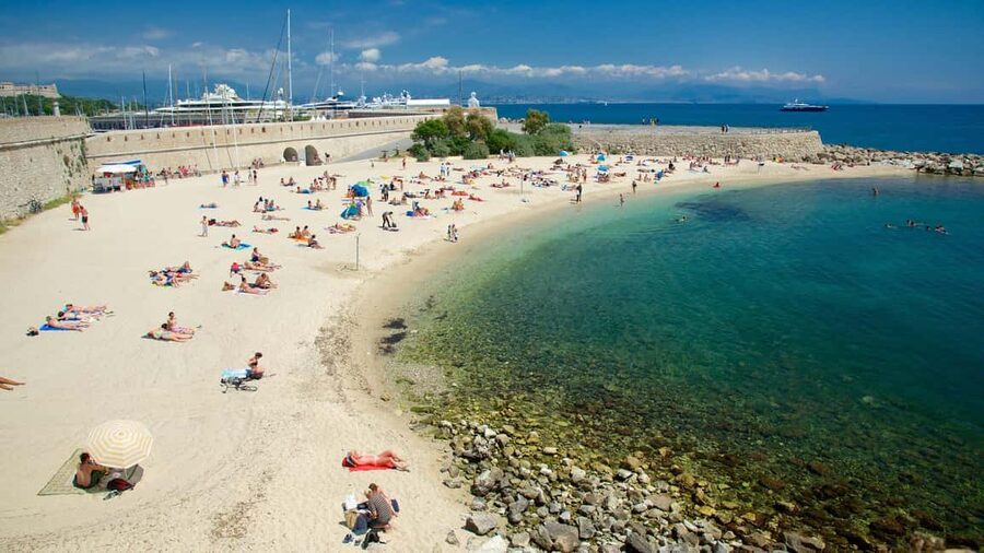 From Nice: Cannes, Saint Paul de Vence and Wine Tasting - Château Crémat: a useful wine break
