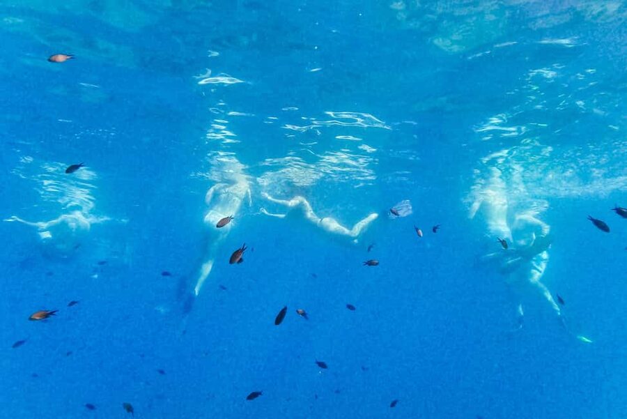 From Nice: French Riviera Swimming and Snorkeling Cruise - Staff, languages, and group atmosphere