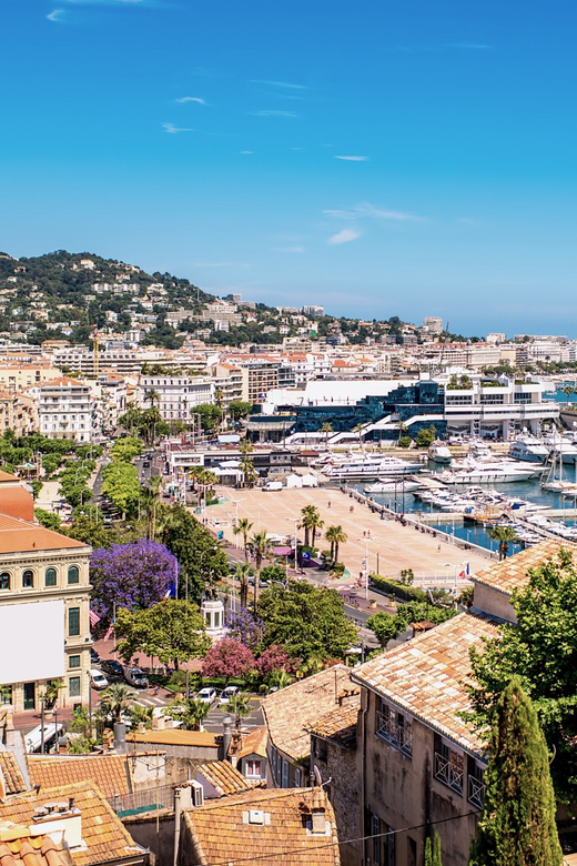 From Nice: Full-Day Best of the Riviera - Monaco’s old town and the Grand Prix circuit