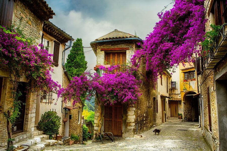 From Nice: Provence and its Medieval Villages Full-Day Tour - Gourdon: a fortified village above the hills