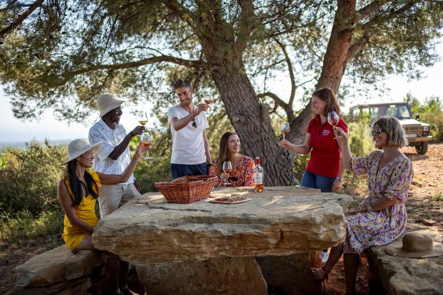 From Nice: Provence Wine Full-Day Tour - Key points to know before booking