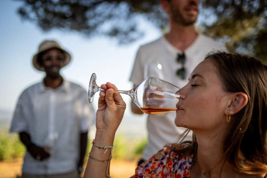 From Nice: Provence Wine Full-Day Tour - Who will enjoy this day most?