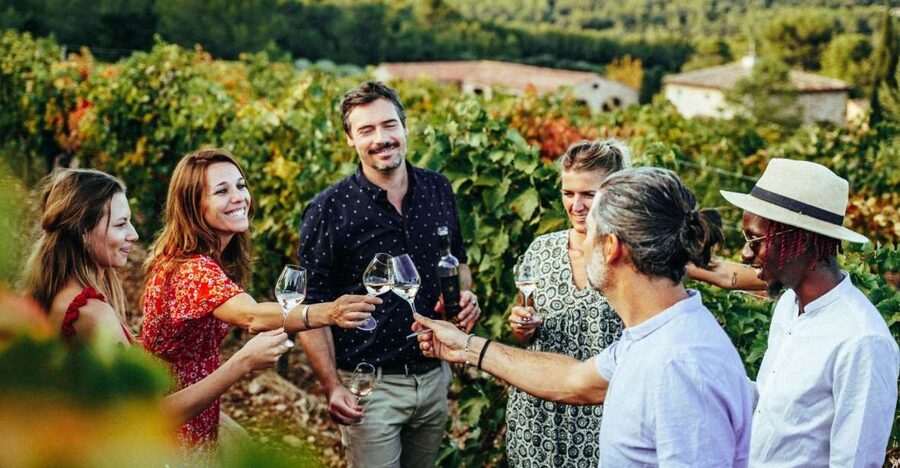 From Nice: Provence Wine Full-Day Tour - A family winery with vines and local art