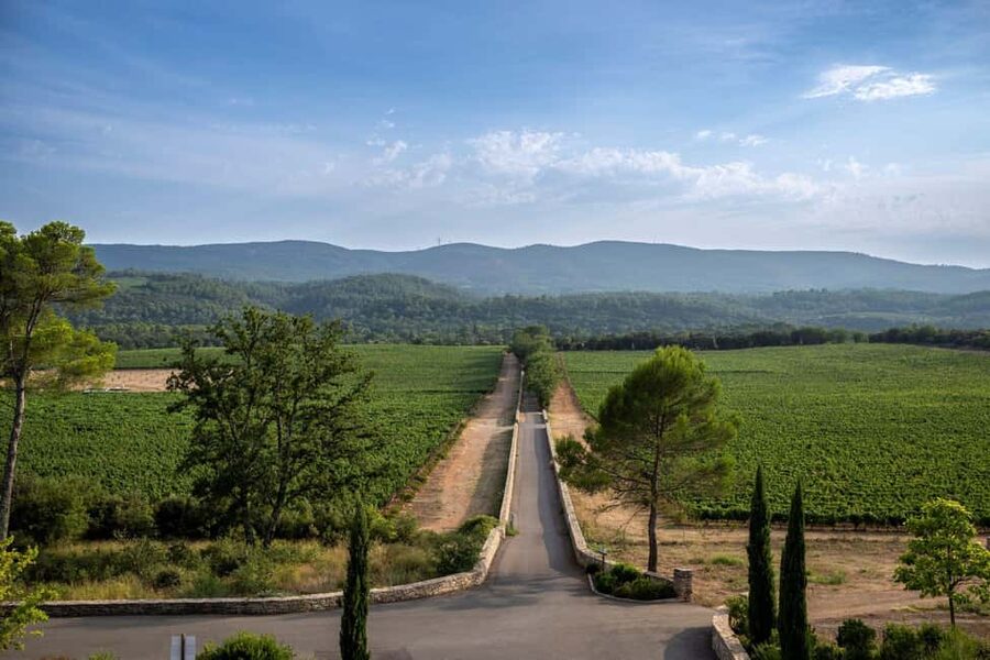 From Nice: Provence Wine Full-Day Tour - About 15 wines, with a lesson behind the glasses