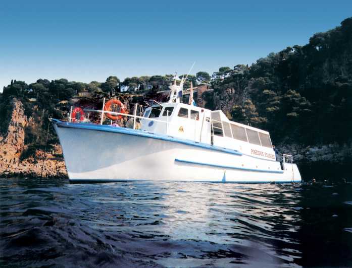 From Nice: Villefranche Bay Swimming & Snorkeling Boat Tour - Key points to know before booking