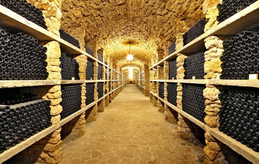 From Paris: Burgundy Region Winery Tour with Tastings - The van ride, timing, and group size