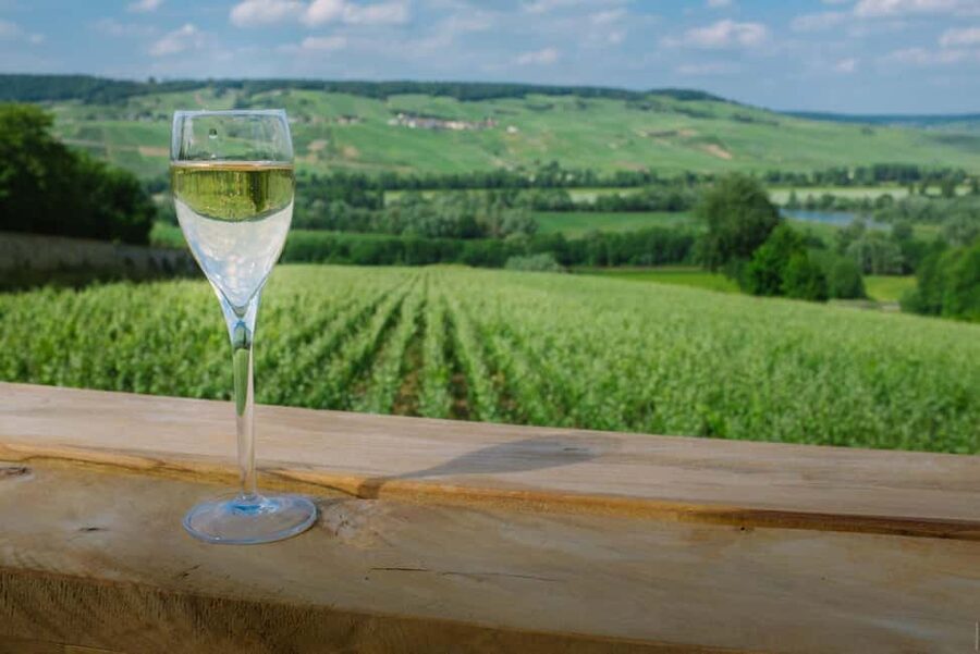 From Paris: Champagne Day Trip with 7 Tastings and Lunch - The return to Paris