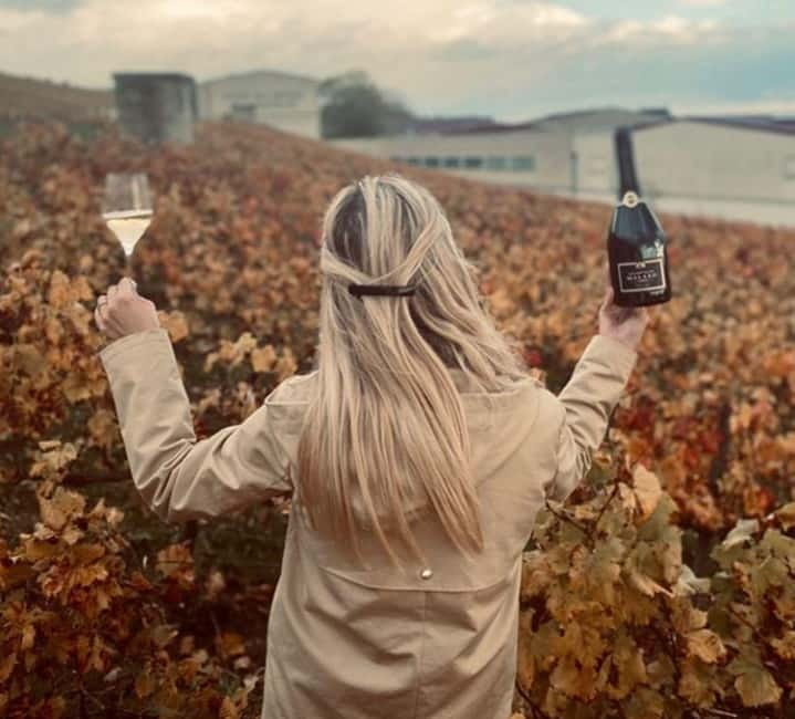 From Paris: Champagne Day Trip with 7 Tastings and Lunch - Épernay and the Avenue de Champagne