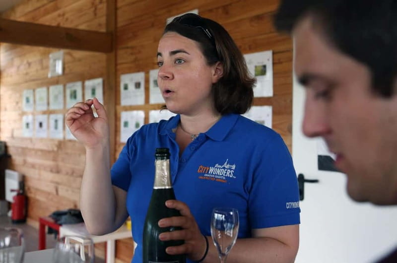 From Paris: Champagne Day Trip with 7 Tastings and Lunch - The family estate and small-batch perspective