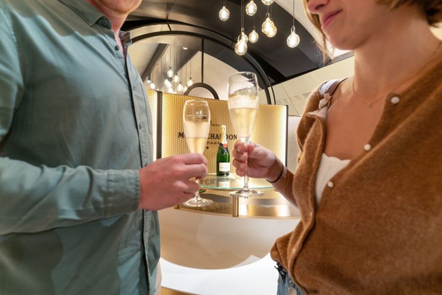 From Paris: Day Trip to Champagne with 8 Tastings & Lunch - Learning to taste Champagne without the fuss