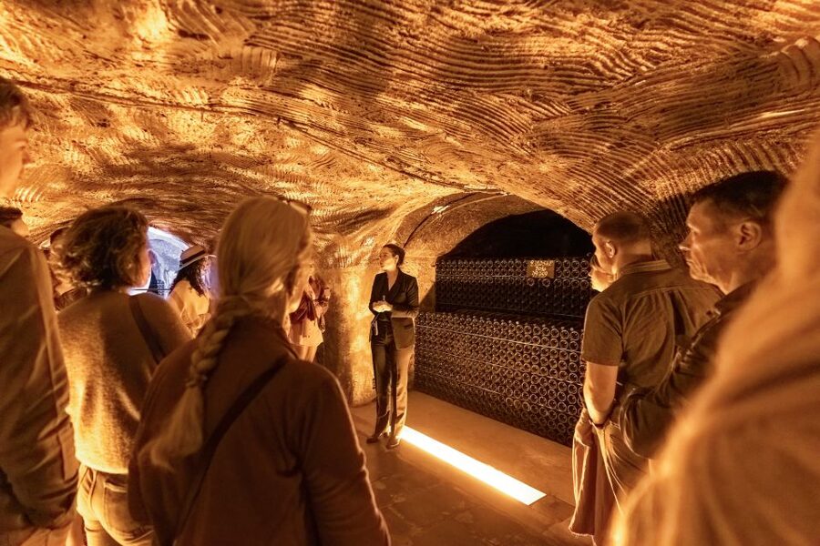 From Paris: Day Trip to Champagne with 8 Tastings & Lunch - Who should book this day out