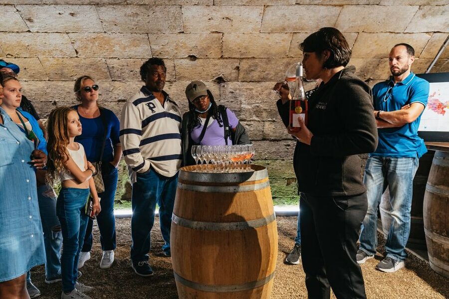 From Paris: Loire Valley Castles Day Trip With Wine Tasting - Blois Gives You Two Hours to Eat Like a Local