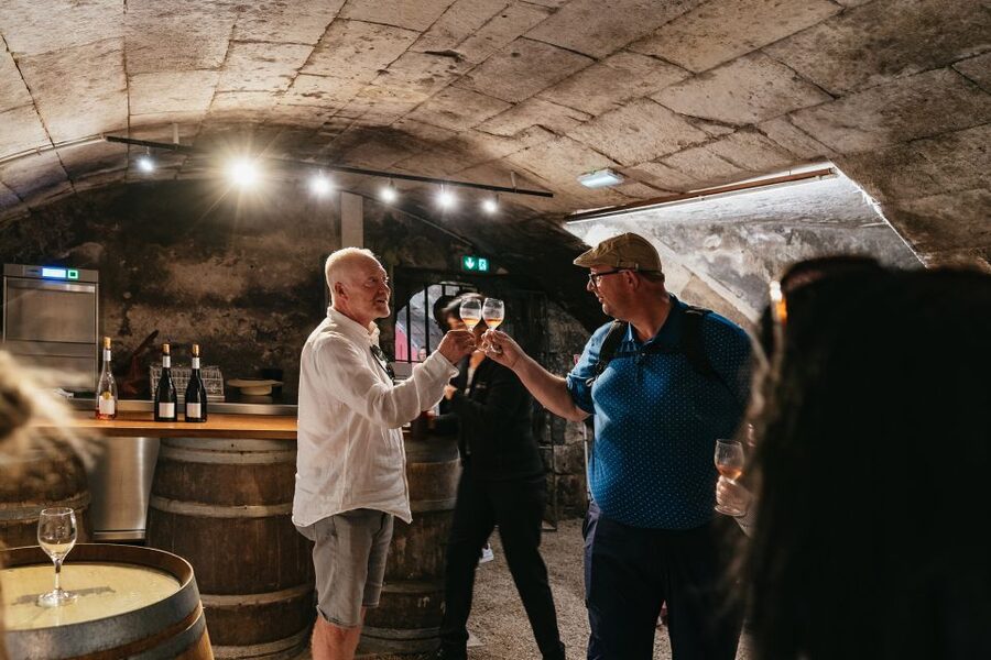 From Paris: Loire Valley Castles Day Trip With Wine Tasting - Should You Book It?