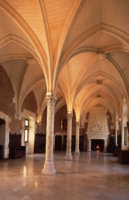 From Paris: Loire Valley Castles Full-Day Tour with Lunch - Who should book this day trip?