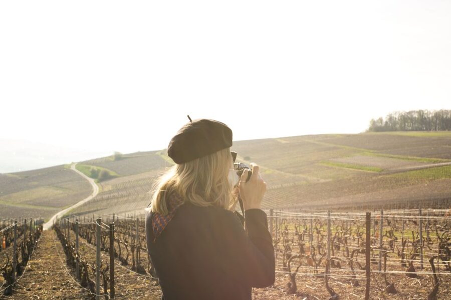 From Paris: Reims and Champagne Tasting Full-Day Tour - Tasting in the Marne vineyards