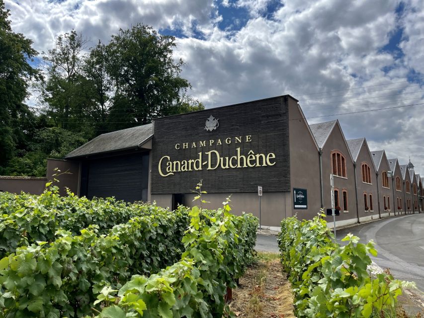 From Paris: Reims and Champagne Tasting Full-Day Tour - What the guides add to the day