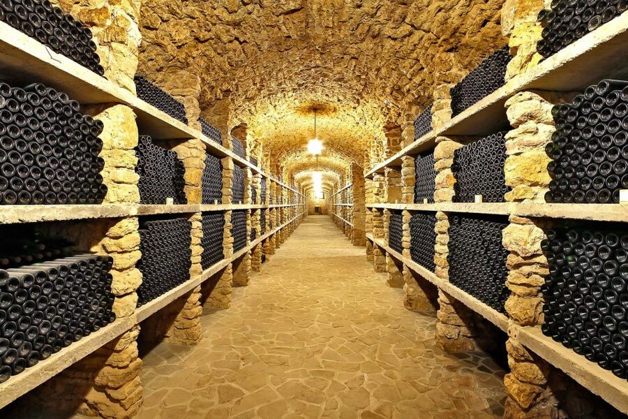 From Paris: Small-Group Champagne Day Trip with Six Tastings - Who should book this day trip?