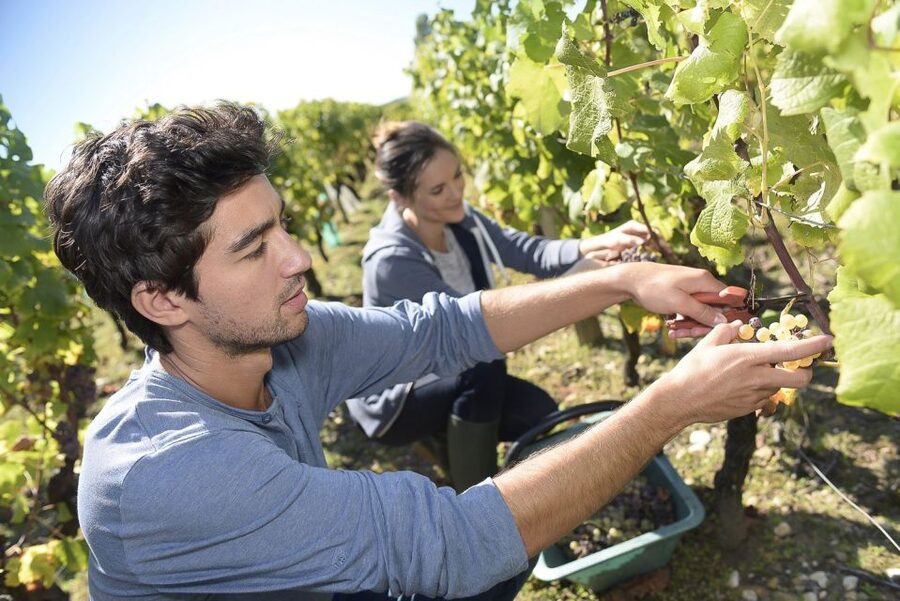 From Paris: Small-Group Champagne Day Trip with Six Tastings - Épernay is your lunch and strolling break
