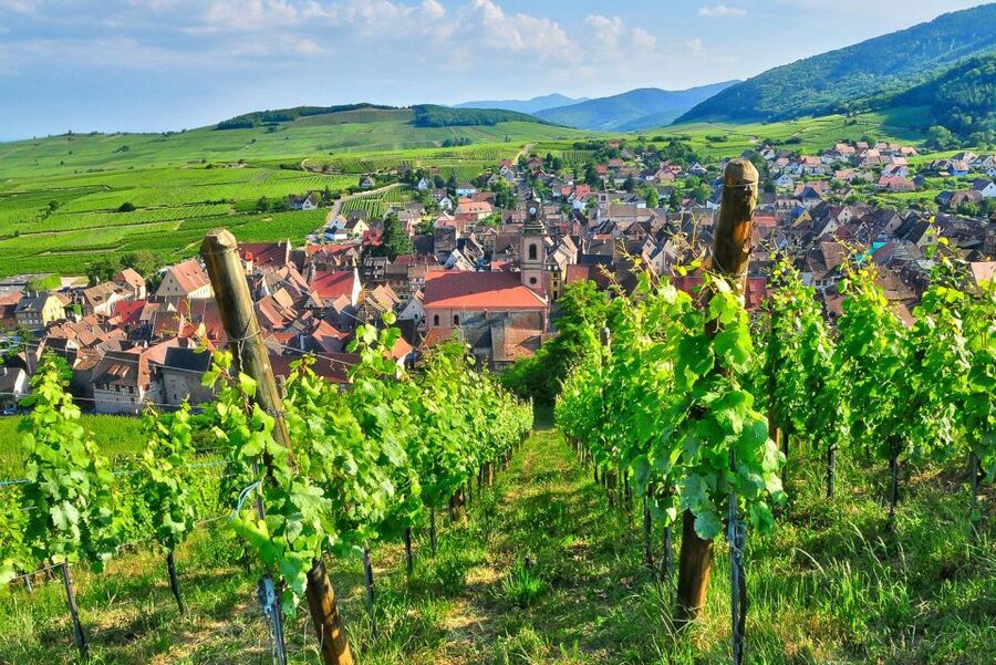 From Paris: Small-Group Champagne Day Trip with Six Tastings - Six glasses, two producers, and a $271 price tag