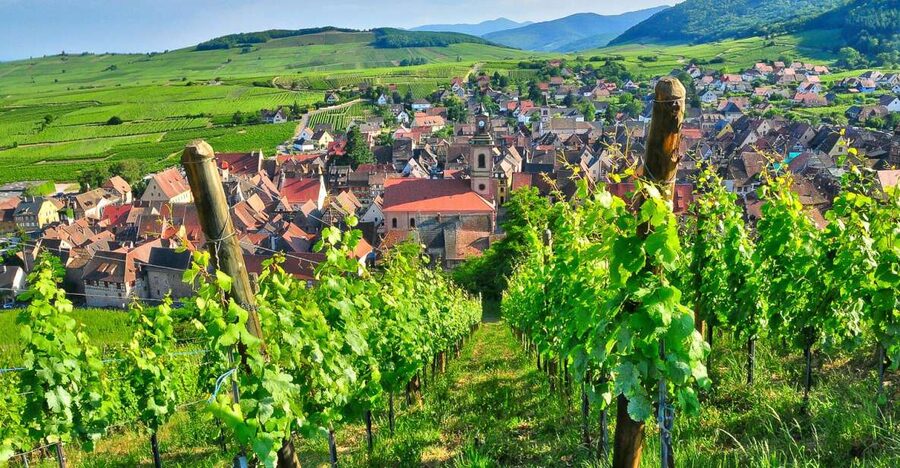From Paris: Small-Group Champagne Day Trip with Six Tastings - Reims Cathedral and the royal road to Champagne