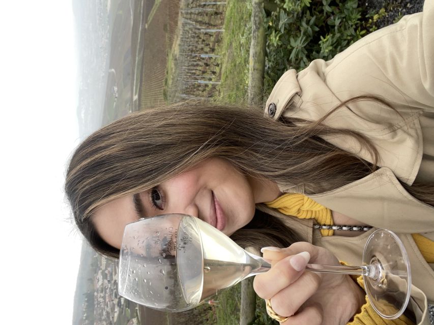 From Paris: Small-Group Champagne Tour with 3-Course Lunch - The Marne Valley Viewpoint and Blind Tasting