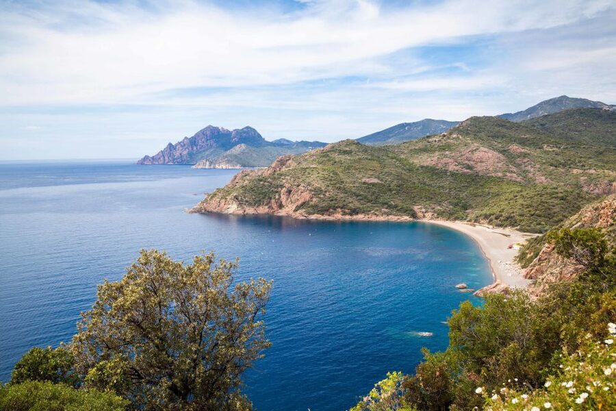 From Porto: Boat tour to the Calanches of Piana & Capo Rosso - The Gulf of Porto sets the scene