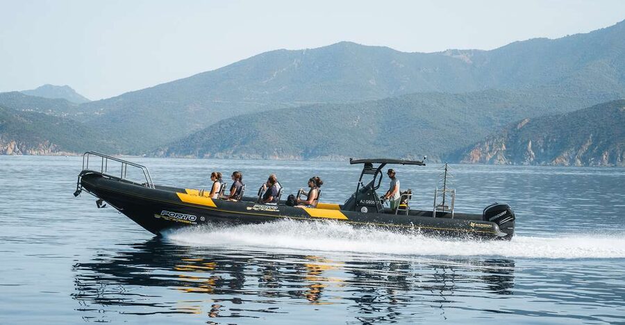 From Porto: Piana Creeks and Scandola Semi-Rigid Boat Tour - Key points to know before booking