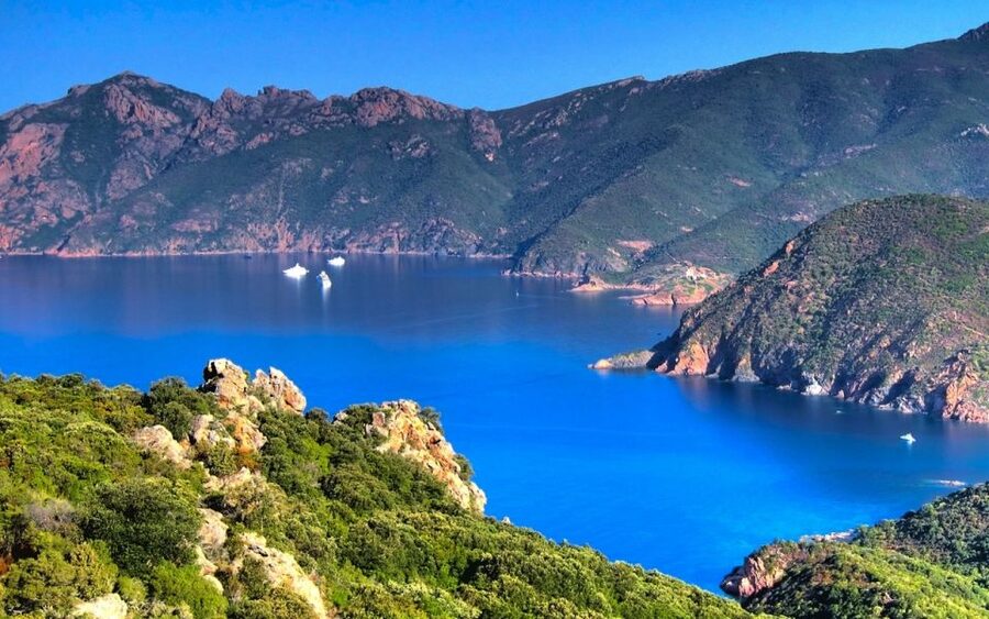 From Porto: Piana Creeks and Scandola Semi-Rigid Boat Tour - Why this three-hour boat ride works well