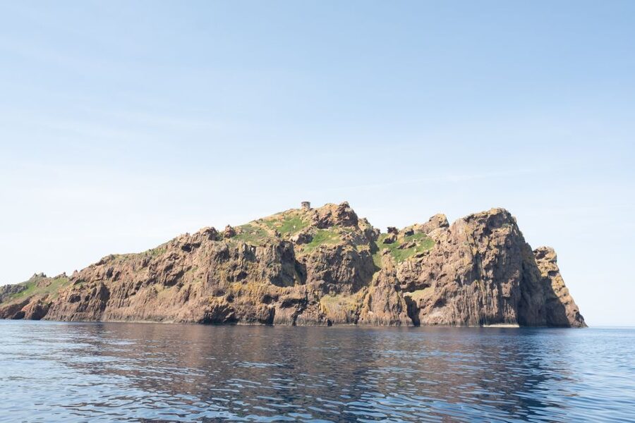 From Porto: Piana Creeks and Scandola Semi-Rigid Boat Tour - The guides and the feel of the outing