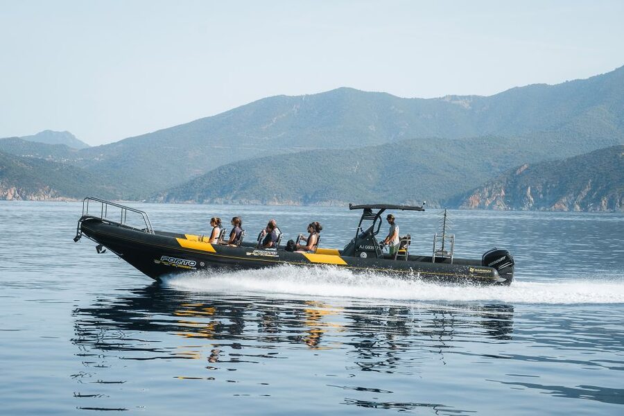 From Porto: Piana Creeks and Scandola Semi-Rigid Boat Tour - Who should book this boat tour