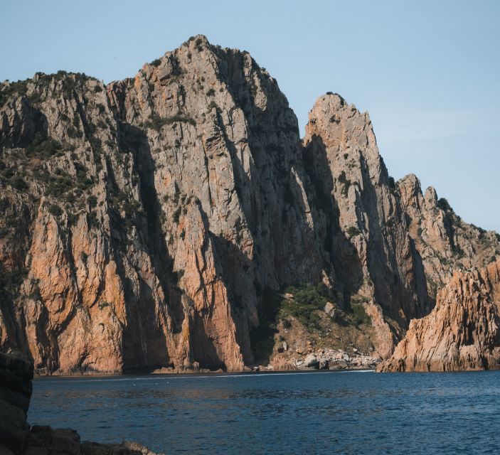 From Porto: Piana Creeks, Scandola on Family Boat - Key points to know before booking