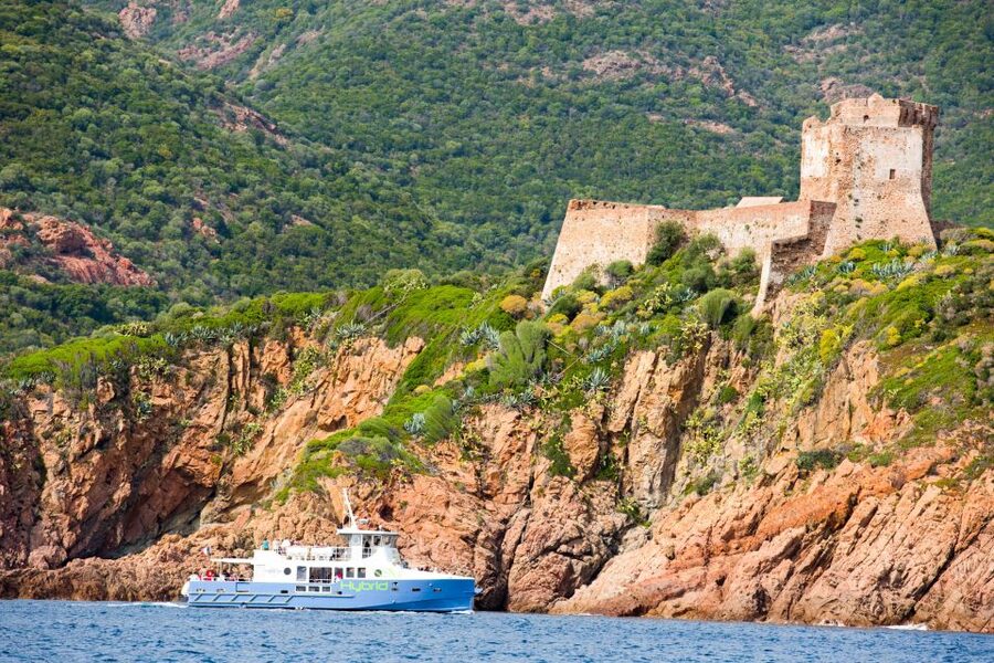From Porto: Scandola & Girolata Tour by Boat - Elbu Bay brings the brightest water