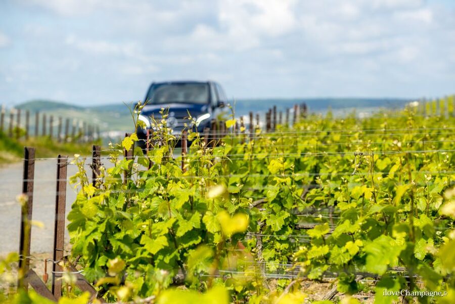 From Reims: Champagne and Family-Run Wineries Tour - Key points to know before booking