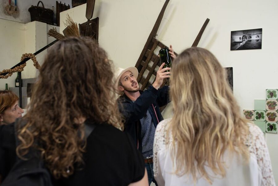 From Reims: Champagne and Family-Run Wineries Tour - Practical details that can make or break the afternoon