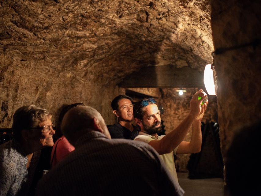 From Reims: Champagne and Family-Run Wineries Tour - Should you book it?