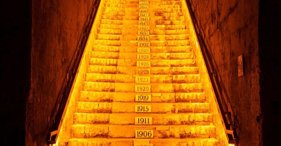 From Reims: Day Trip to Veuve Clicquot Family Grower & Lunch - A full Champagne day from Reims
