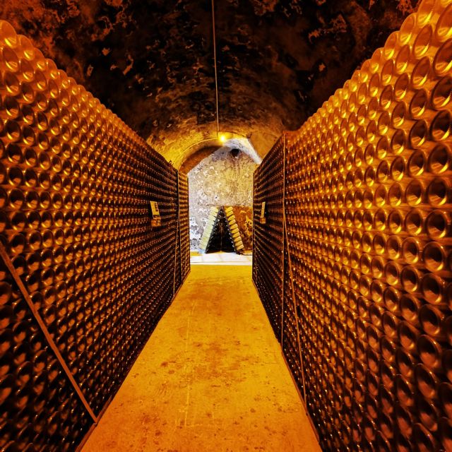 From Reims: Day Trip to Veuve Clicquot Family Grower & Lunch - Timing, trains, and practical details