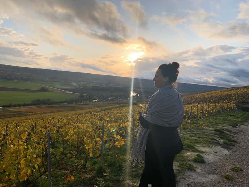 From Reims: Morning Champagne Tour and Tastings - The first estate: a full look at Champagne production