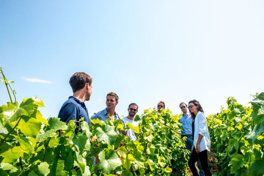 From Reims: Morning Champagne Tour and Tastings - What this tour does not include
