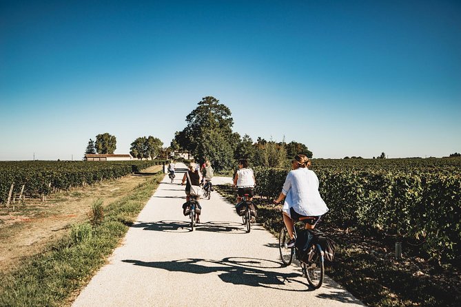 From Saint-Emilion : Electric Bike Day Tour with Wine Tastings and Picnic Lunch - Key points at a glance