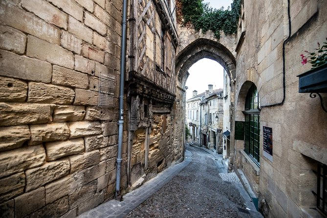 From Saint-Emilion : Electric Bike Day Tour with Wine Tastings and Picnic Lunch - A winery picnic at 12:30