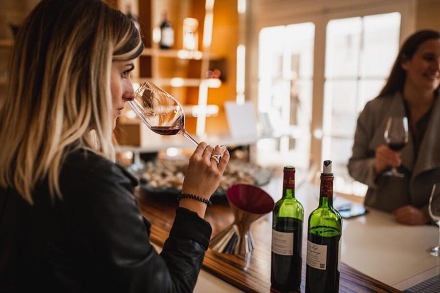 From Saint-Emilion : Half Day Electric Bike Tour - The first vineyard and a family-run wine estate