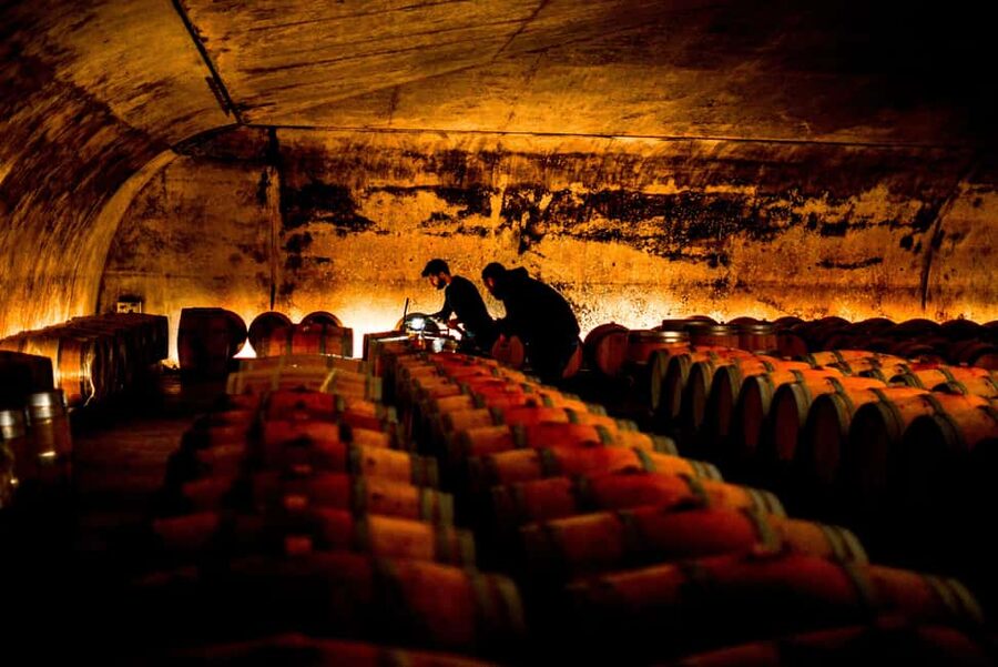 From Saint-Emilion : Half Day Electric Bike Tour - Useful booking advice before you go