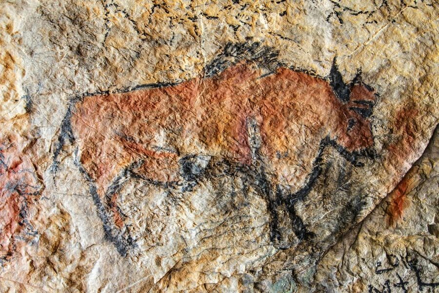 From Sarlat: Half-Day Skip-the-Line Lascaux IV Tour - Seeing the Les Eyzies rock shelter