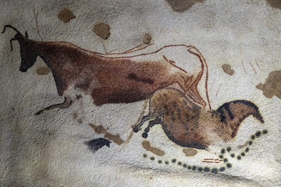 From Sarlat: Half-Day Skip-the-Line Lascaux IV Tour - Leaving Sarlat in a small minivan