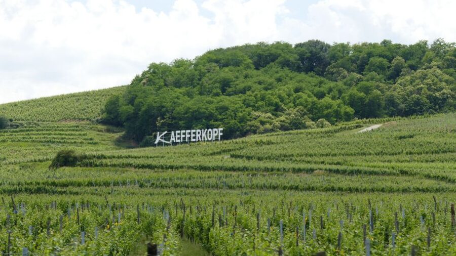 From Strasbourg: Best Of Alsace Historical Day Trip - Why this Alsace day trip works so well