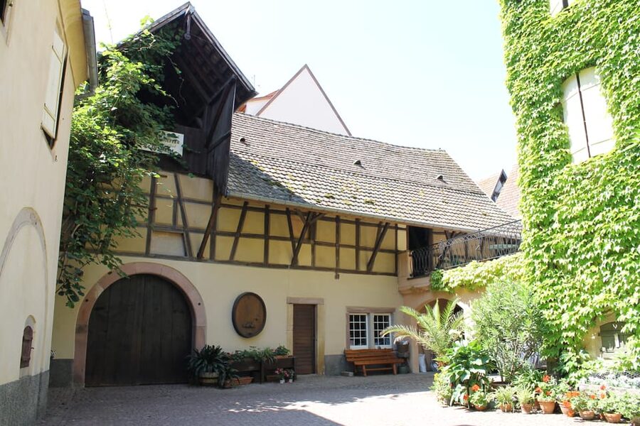 From Strasbourg: Half-Day Tour of Alsace Villages - Should you book it?