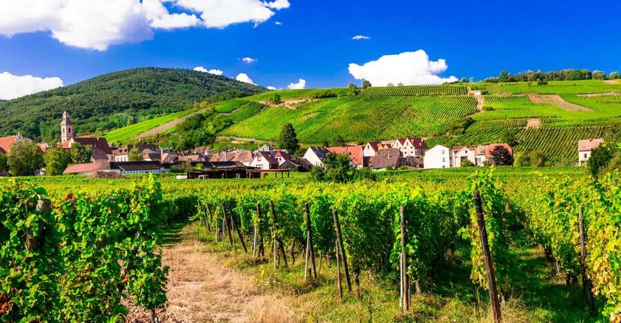 From Strasbourg: Half-Day Tour of Alsace Villages - Mittelbergheim and its arched Renaissance town hall